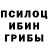Псилоцибиновые грибы Psilocybe Dmitriy Lazebnyy