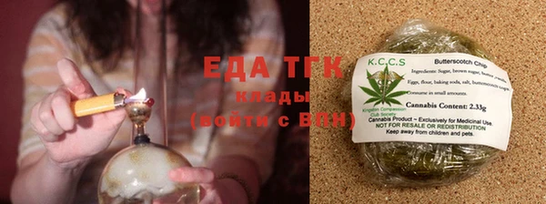 стаф Магас